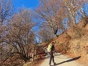 15 Si sta bena al sole salendo la strada agrosilvopastorale